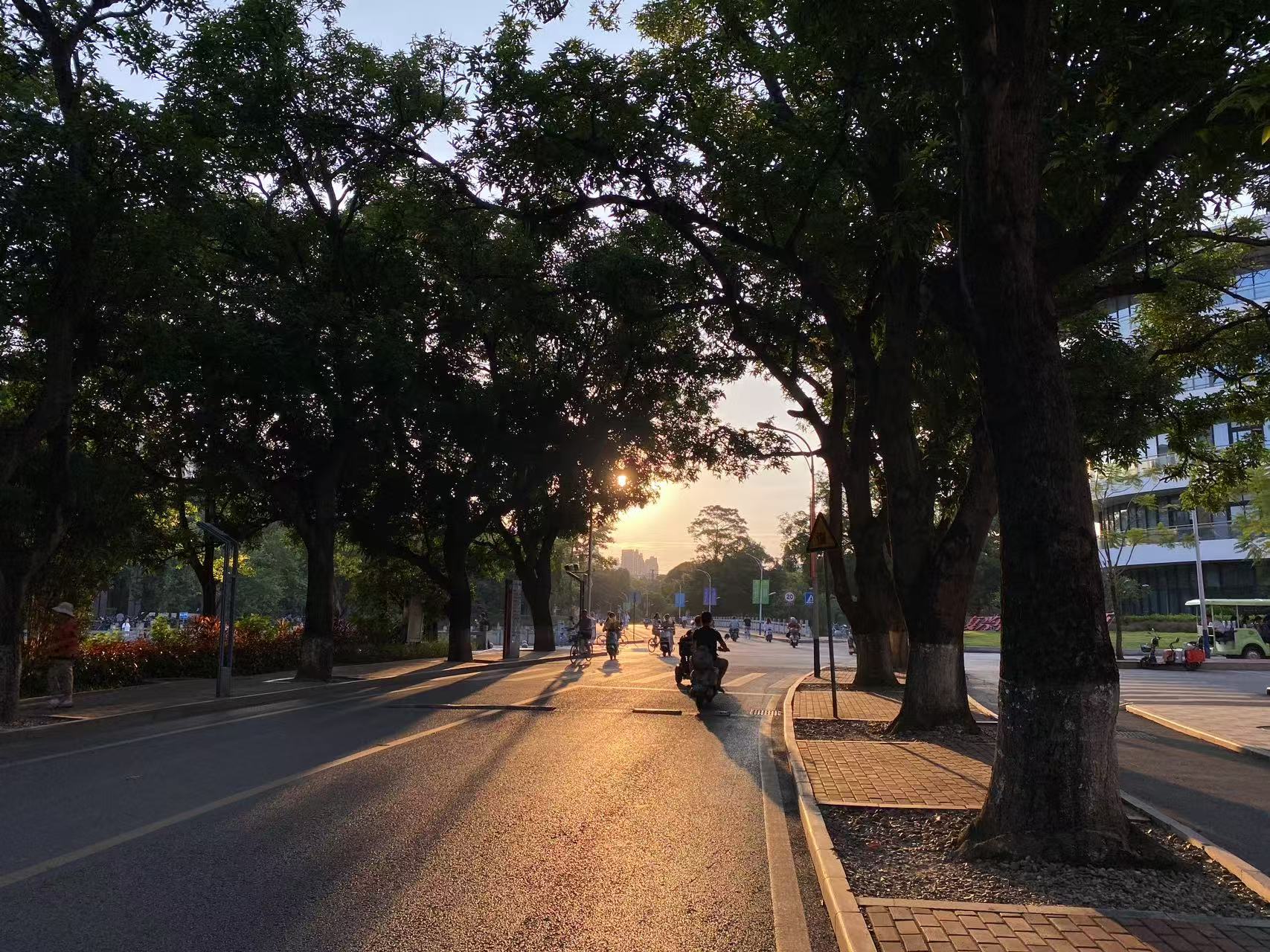 路上.jpg 路上.jpg