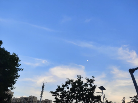 圖片.png 圖片.png