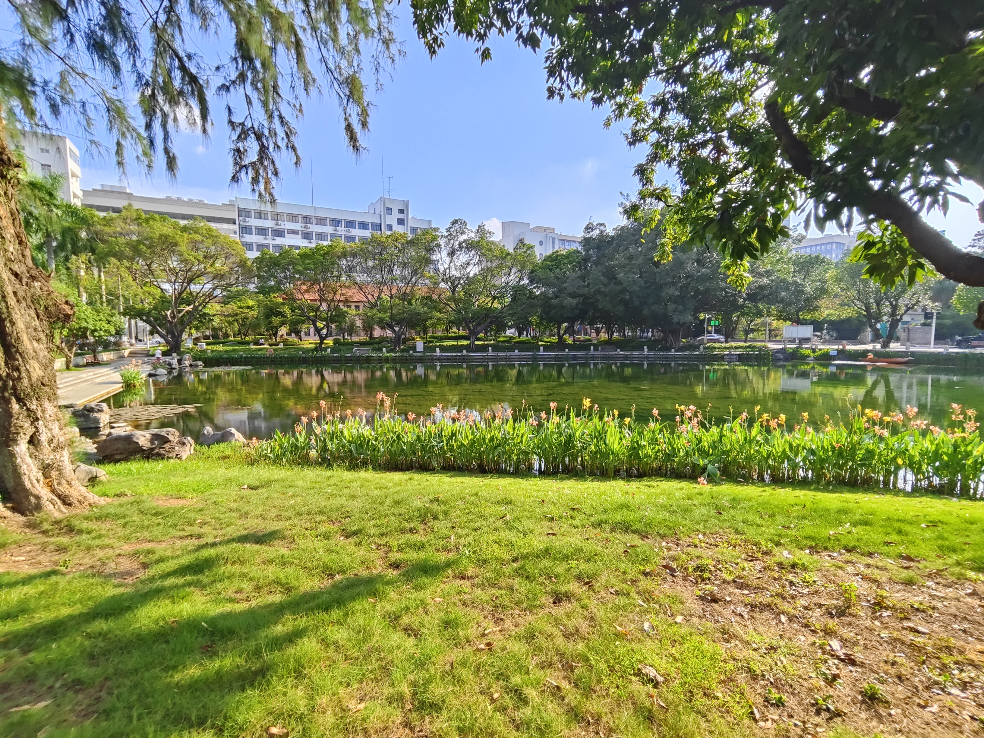 IMG_20241018_152926.jpg IMG_20241018_152926.jpg